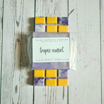Tropic Sunset | Bom Dia Bright Cheirosa 40 Inspired Wax Melts