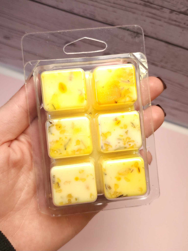 Positive Energy Wax Melts | Intention and Ritual for Uplifting Aromas by Rainy Morning Candles