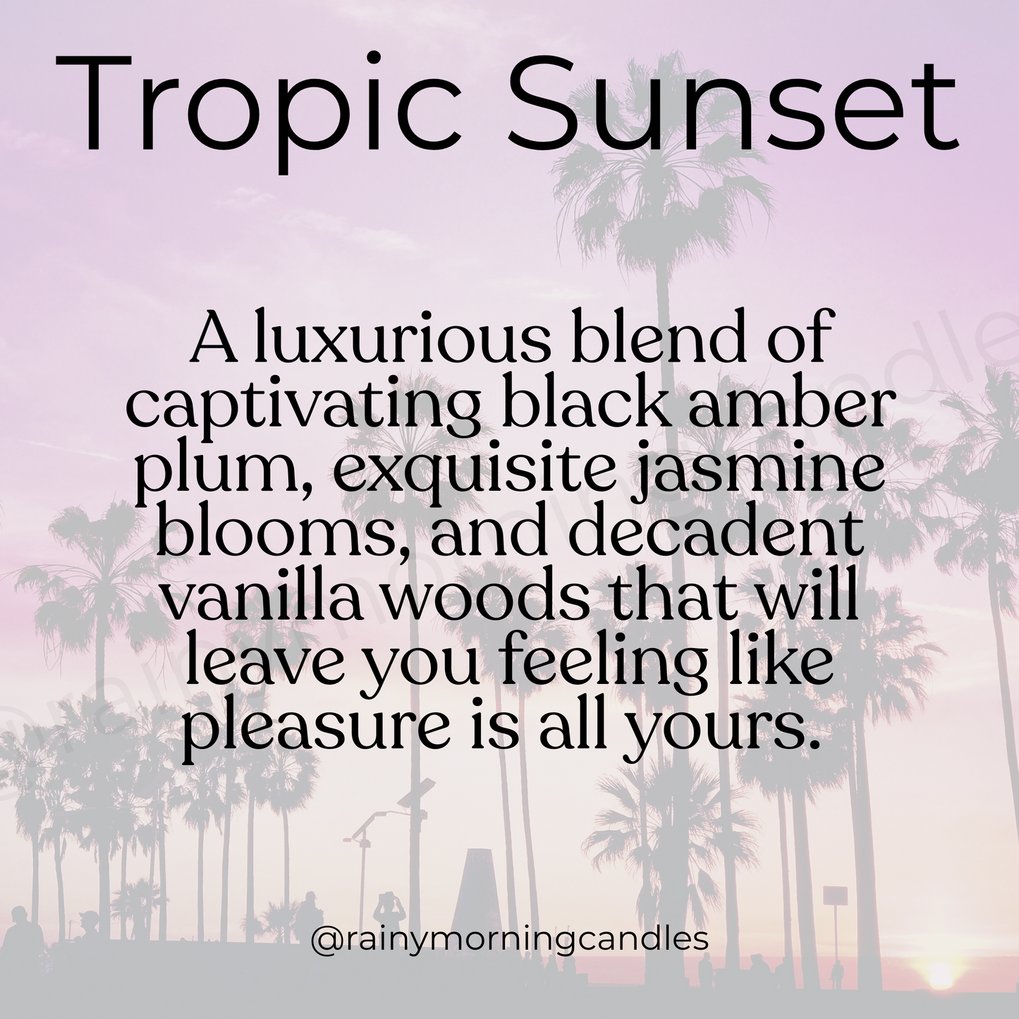 Tropic Sunset | Bom Dia Bright Cheirosa 40 Inspired Wax Melts