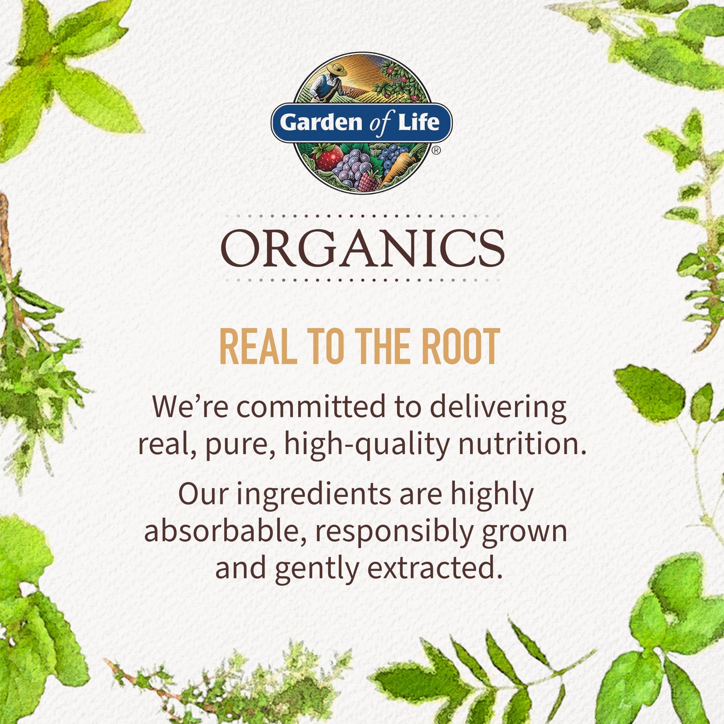 Garden of Life Organics Women's Gummy Vitamins - Berry - Certified Organic, Non-GMO, Vegan, Kosher Complete Multi - Methyl B12, C & D3 - Gluten, Soy & Dairy Free, 120 Real Fruit Gummies