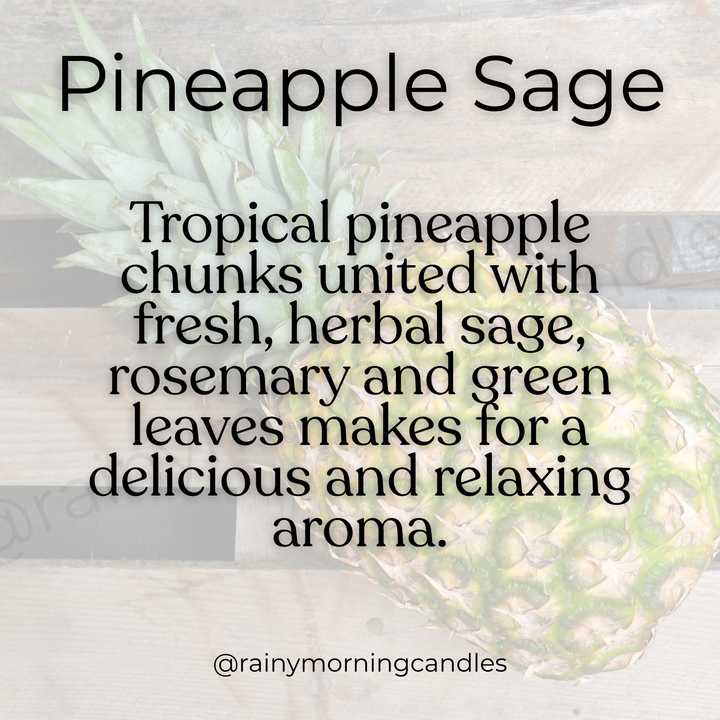 Pineapple Sage Wax Melts - Refresh Your Home with Vibrant Fragrance by Rainy Morning Candles