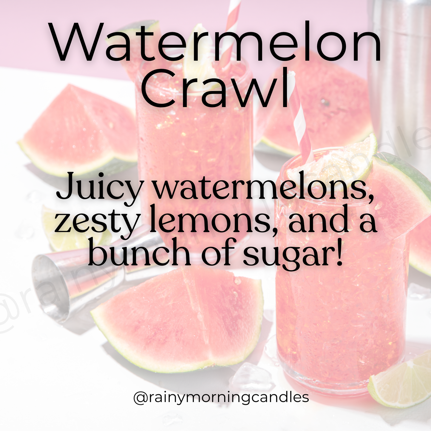 Watermelon Crawl | Watermelon Lemonade Wax Melts